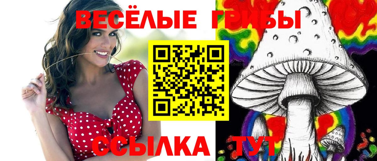 Галлюциногенные грибы Psilocybine cubensis Копейск