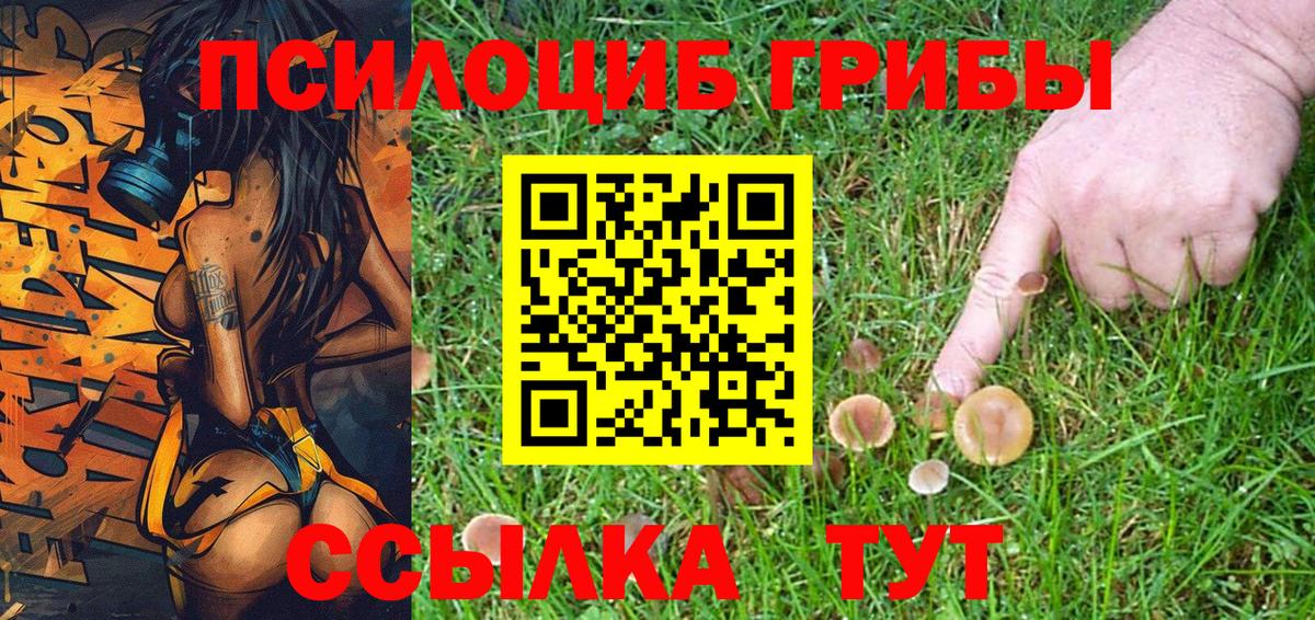 Копейск  наркота  Вход с VPN  Псилоцибиновые грибы Magic Shrooms  Псилоцибиновые грибы Psilocybe 